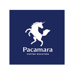 Pacamara1